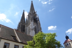 P1130539