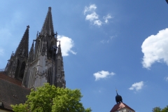 P1130541
