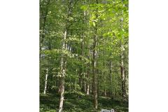 03_Baecker_Hilla_Naturschutz