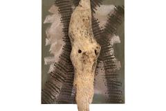 23_Hengstermann_Regine_NaturWerk