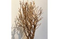 26_Holitschke_Juergen_Altes_Holz