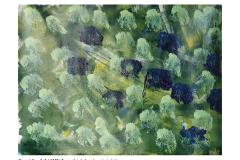 33_Kloether_Berthold_Licht_im_Wald